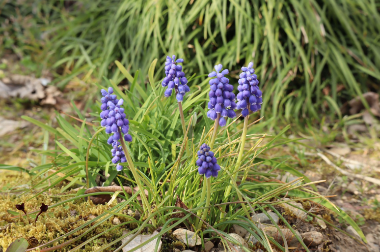미국에서 뜨는 부업 관련 이미지