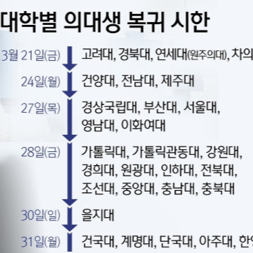 의대생 복귀
