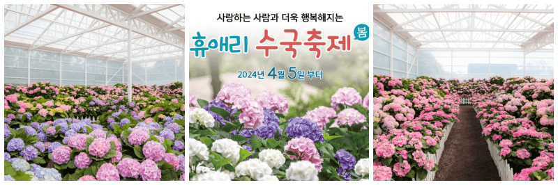 휴애리 봄 수국축제 포토&#44; 포스터