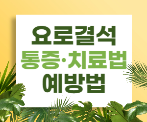 요로결석, 여름철에 3배 더 많이 생긴다? 통증부터 치료법, 예방법까지 알아보자