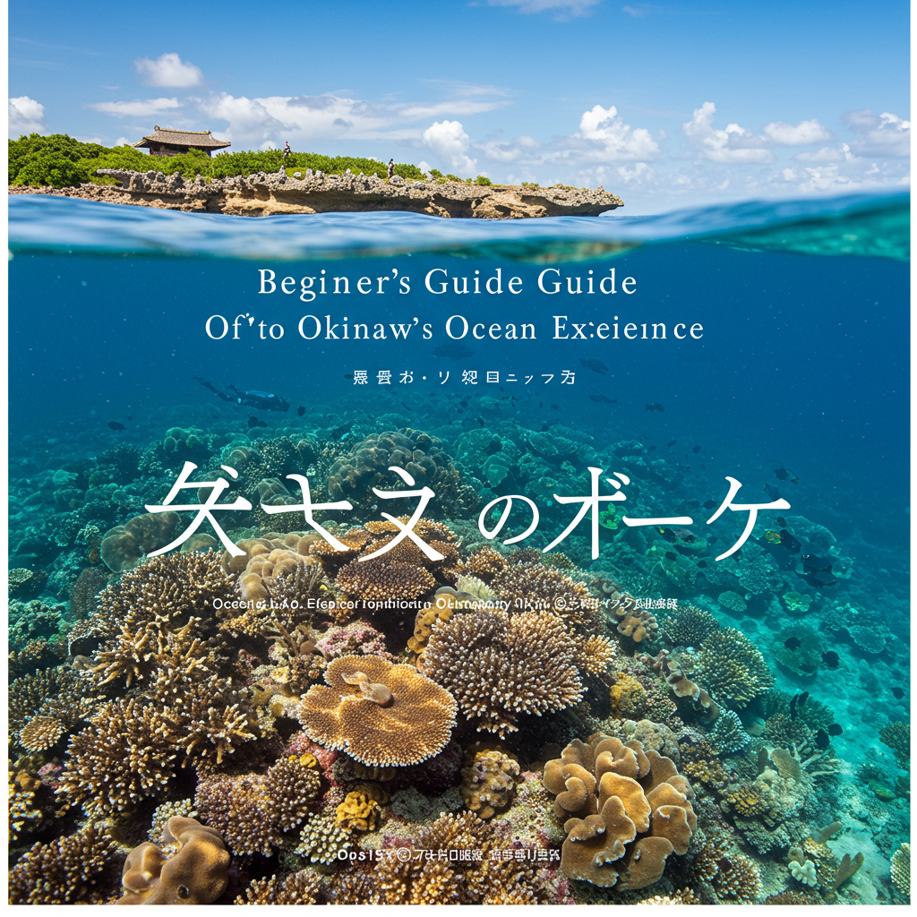 오키나와 바다체험 초보자 가이드