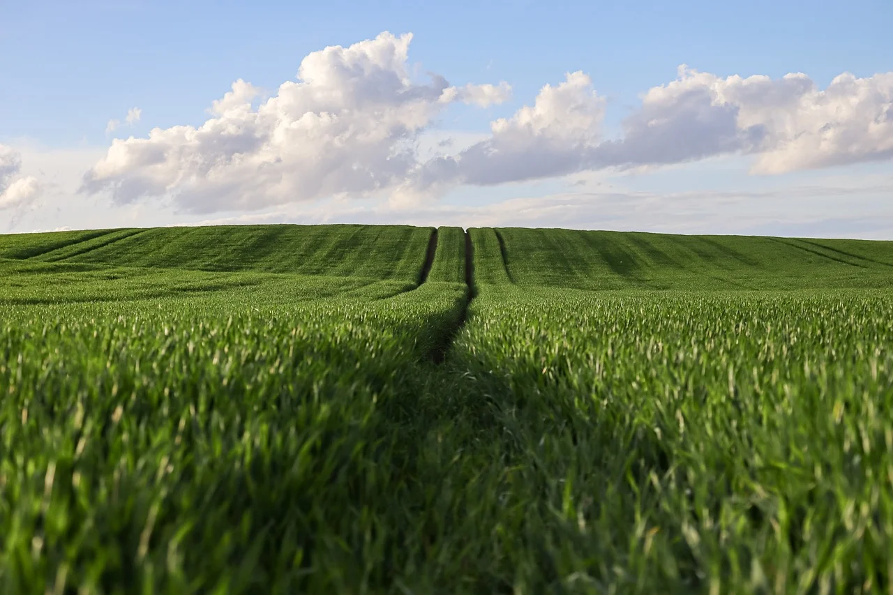 스마트 수직농장 자동화 기술