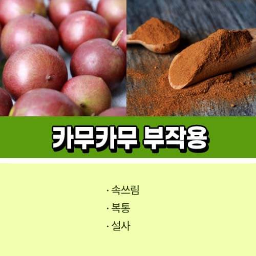 카무카무 부작용