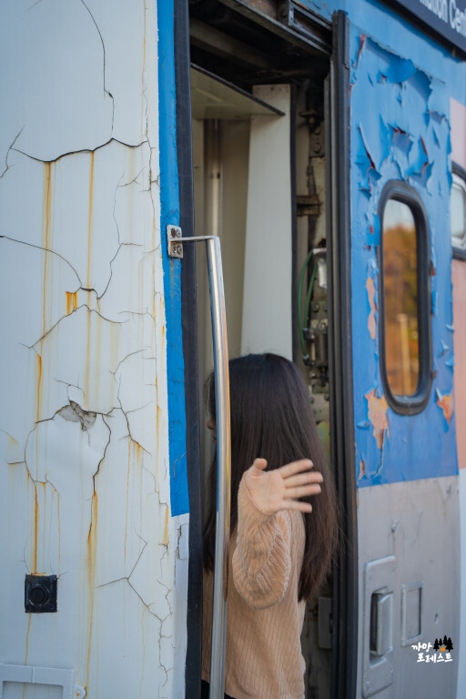 춘천 김유정역 폐역 무궁화호