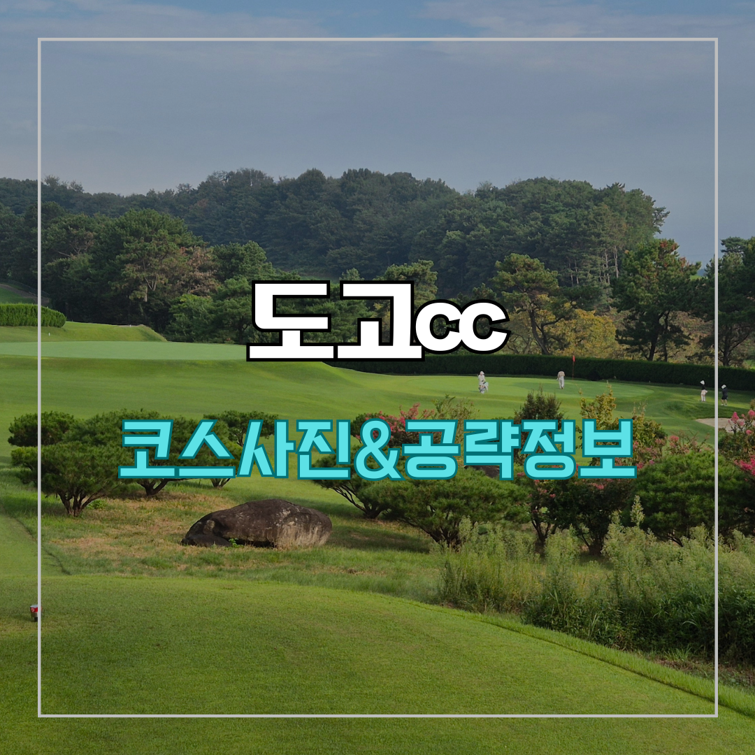 도고cc 코스 사진 및 공략 정보