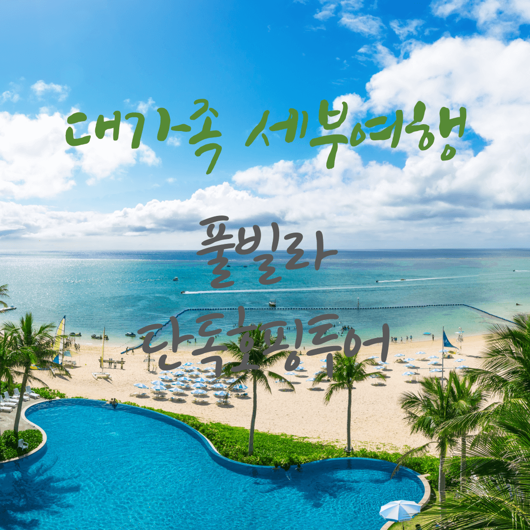 대가족 세부여행 숙소 풀빌라 및 단독 호핑투어, 씨티투어