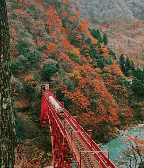 일본 알펜루트 여행 : 준비물부터 코스&amp;#44; 최적 시기까지!