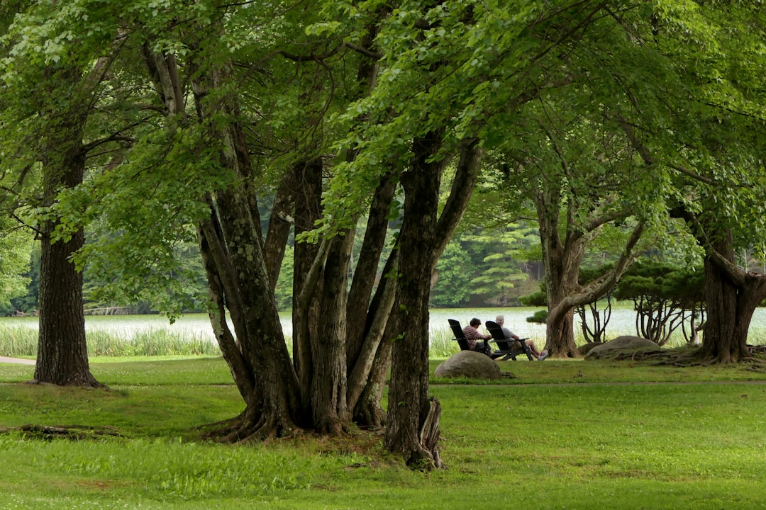 IRP (Individual Retirement Pension)