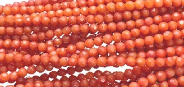 탄생석 산호(산호/코랄)