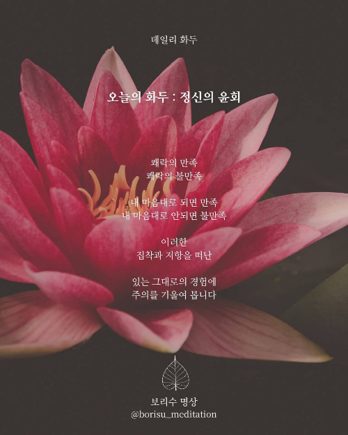 환희지의 보리수 명상 : Day 16 화두 : 정신의 윤회