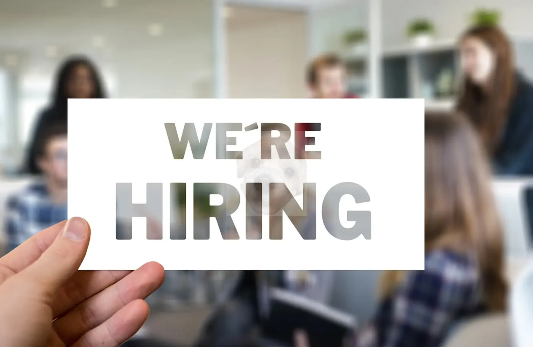 4대보험 중 하나로 반드시 가입되어 있어야 하는 고용보험