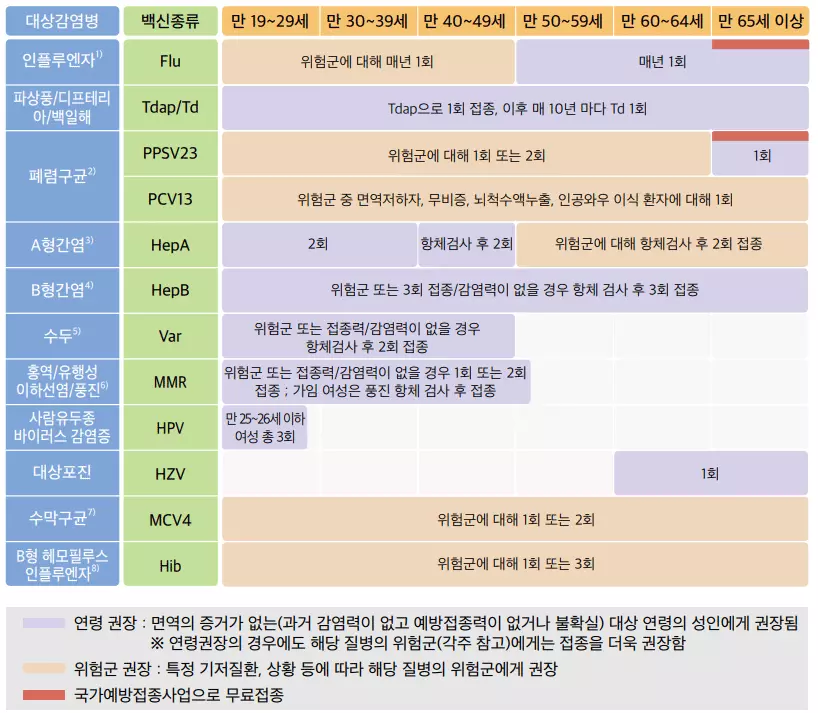 성인 나이별 예방접종