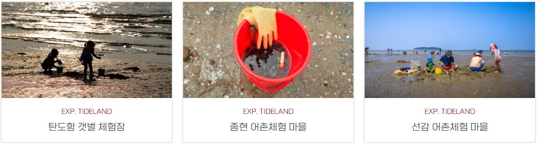 대부도 갈만한 곳