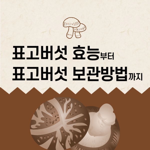 표고버섯 효능│표고버섯 보관방법