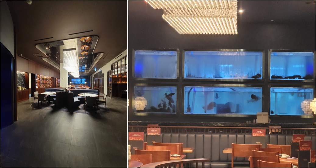 실내 및 수족관