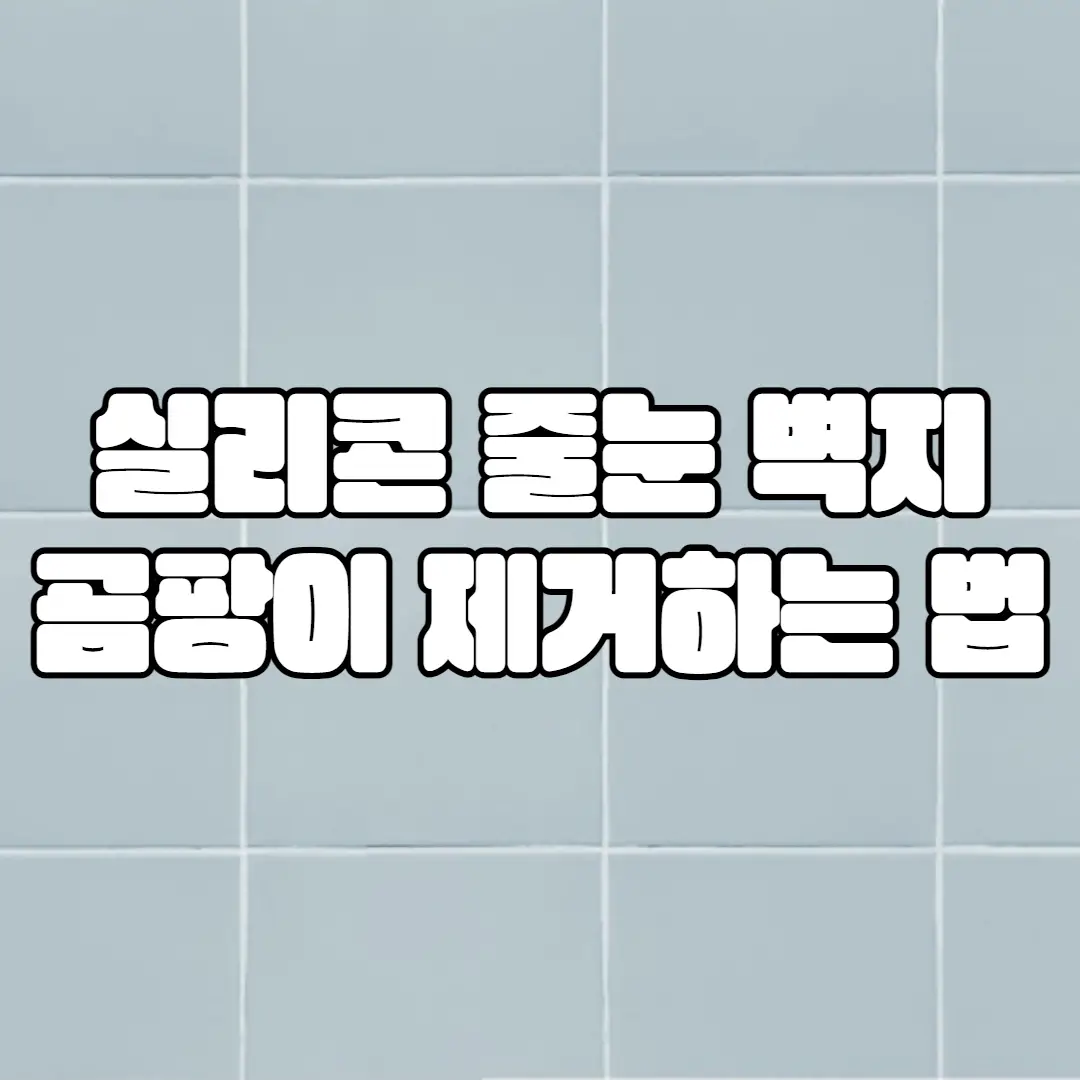 실리콘 줄눈 심한 곰팡이 제거