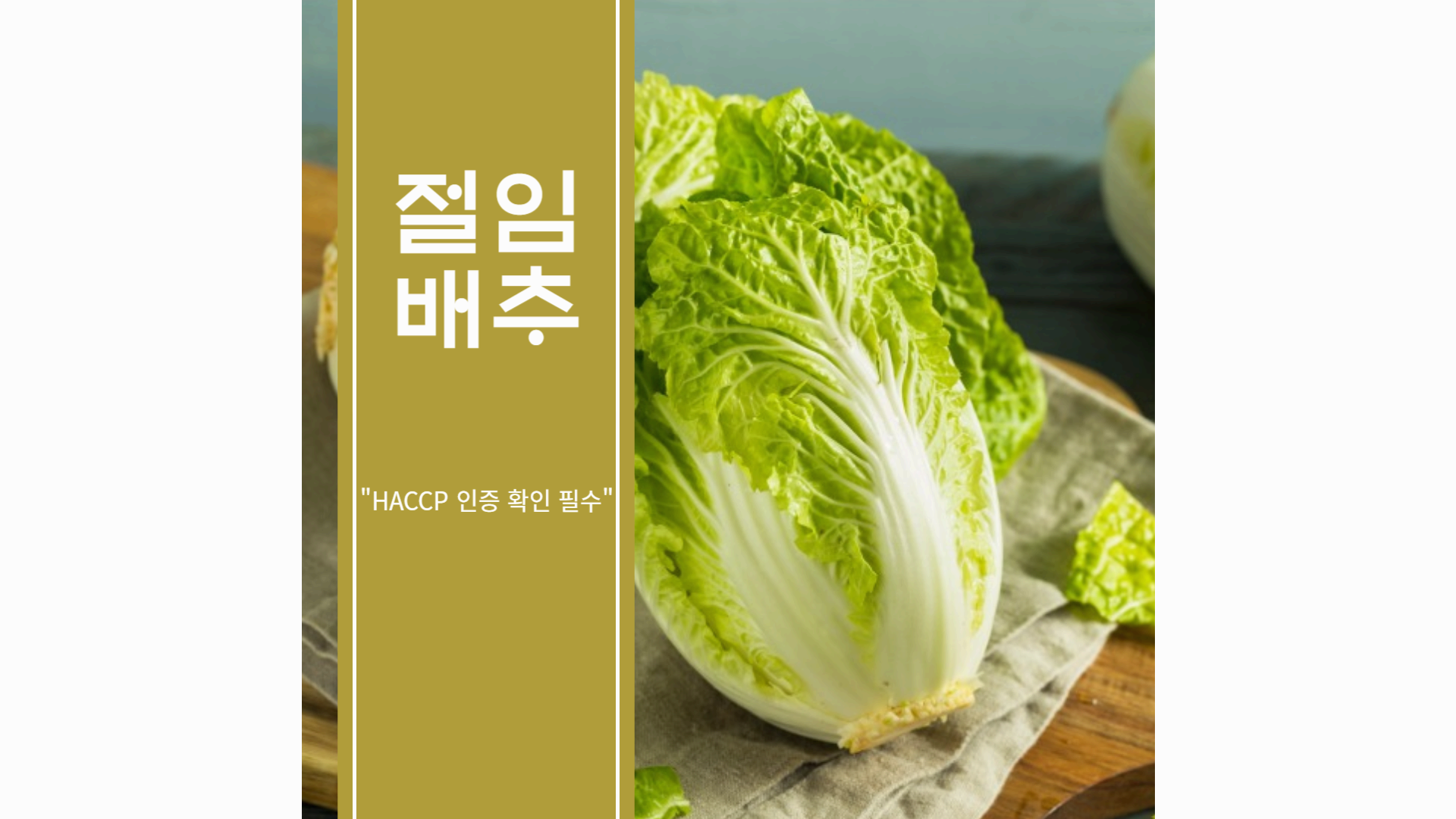 김장철 준비사항과 배추 절이기