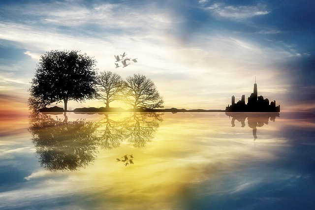 프리뮤직 아카이브