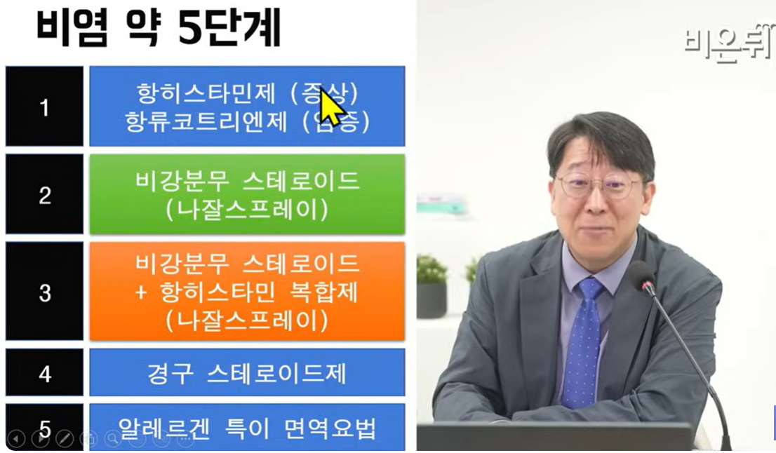 비염 비강 분무 스테로이드