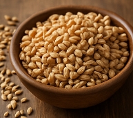 파로 곡물 효능