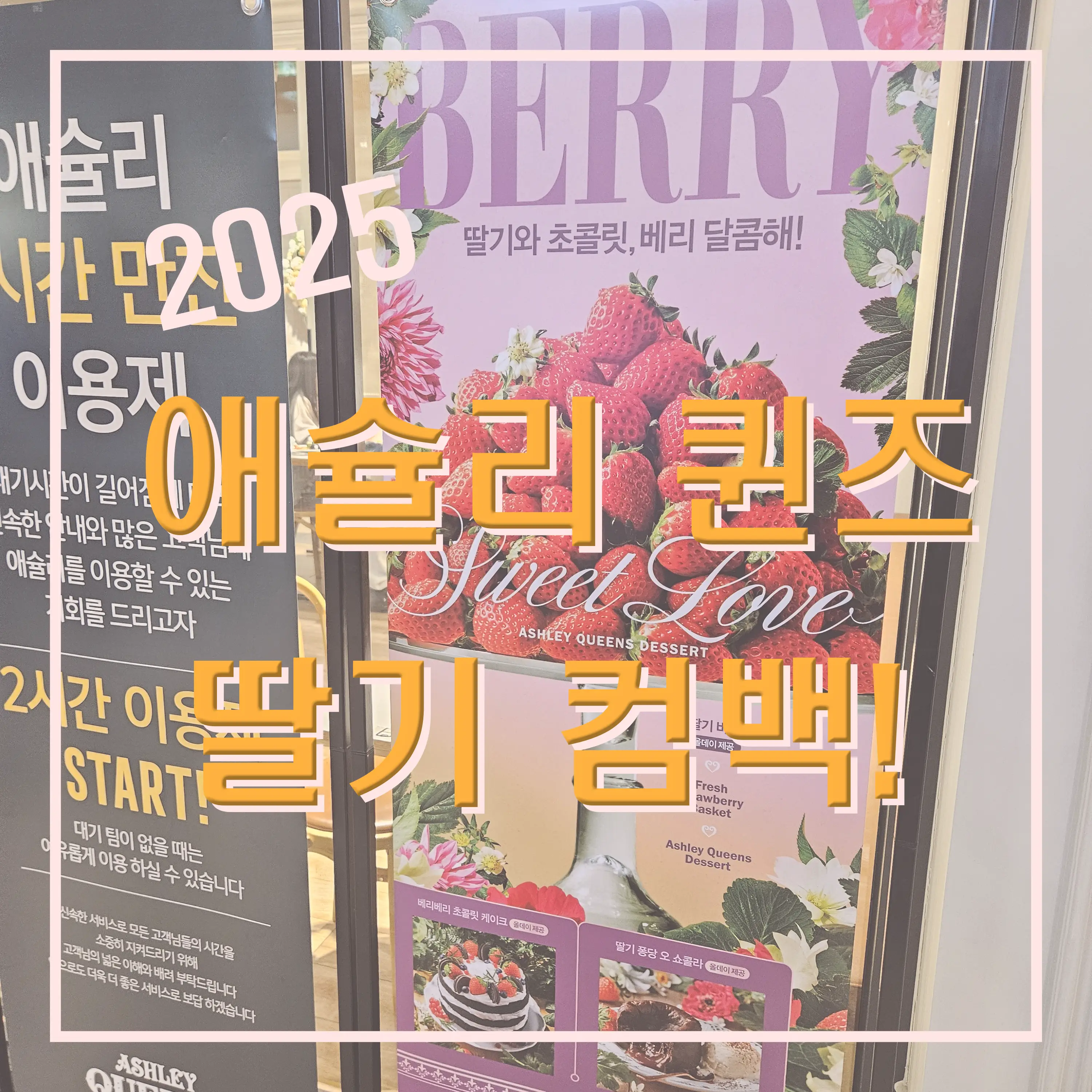 애슐리 퀸즈 딸기 컴백 2025 유성NC