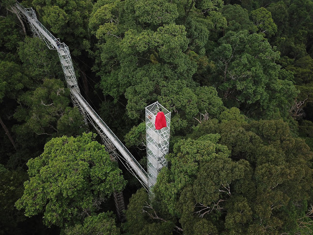 템부롱 국립공원 (Ulu Temburong National Park)