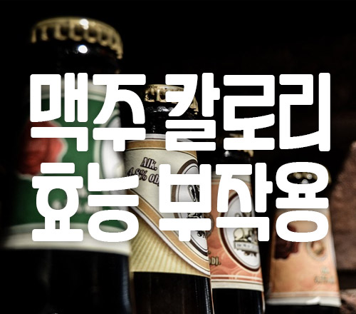 맥주 칼로리 효능 부작용