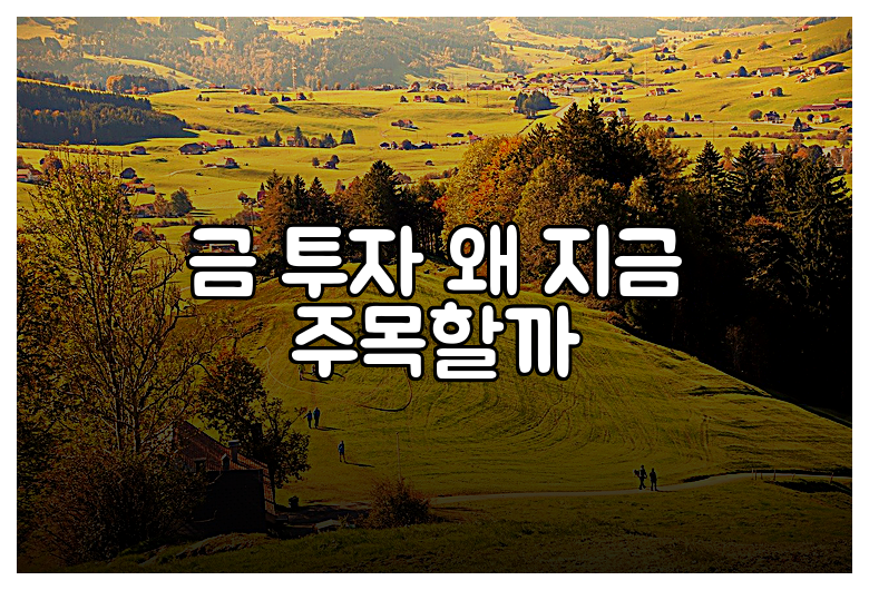 금 투자 왜 지금 주목할까