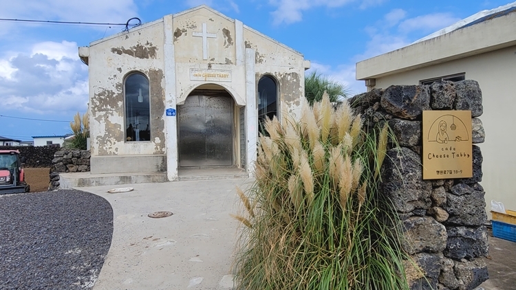 제주동쪽여행-감성카페-카페치즈태비