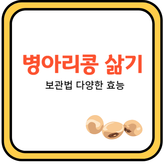 병아리콩