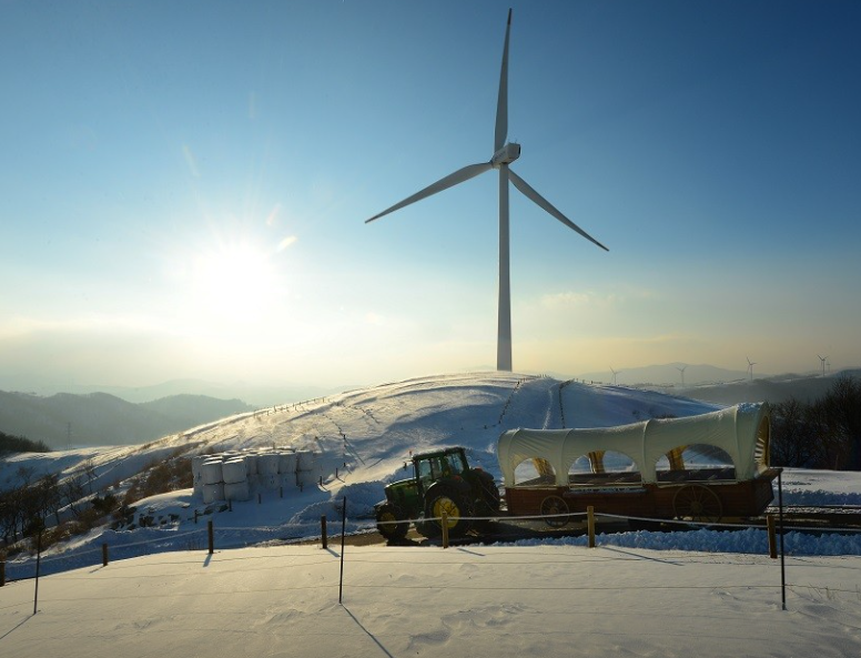 대관령 하늘목장