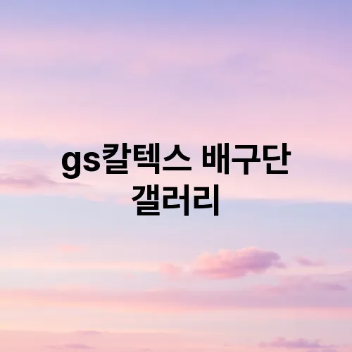 gs칼텍스 배구단 갤러리