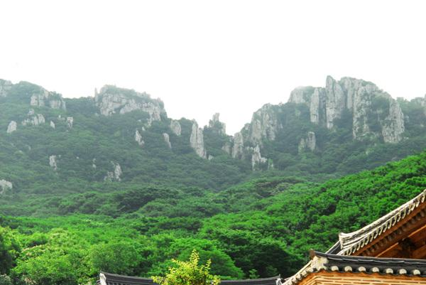 해남 가볼만한곳 베스트10 미황사