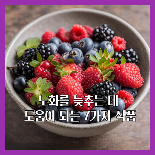 베리류는 항산화 물질이 풍부하여 세포 손상을 줄이고, 노화 과정을 늦추는 데 도움을 줍니다