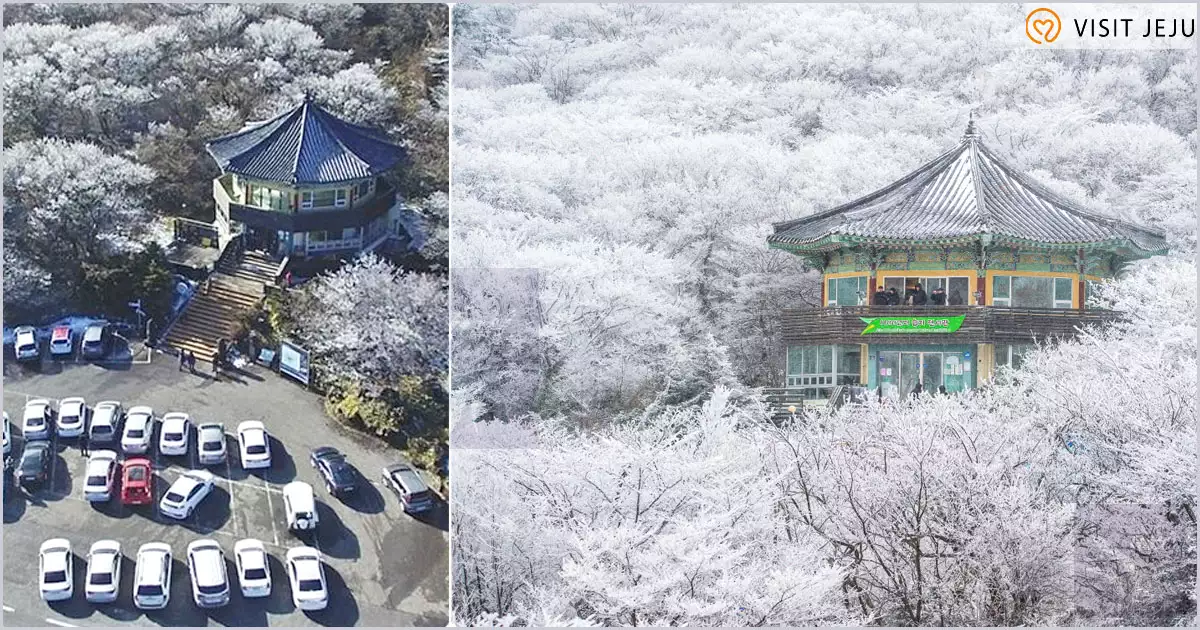 1100고지습지 휴게소와 주차장