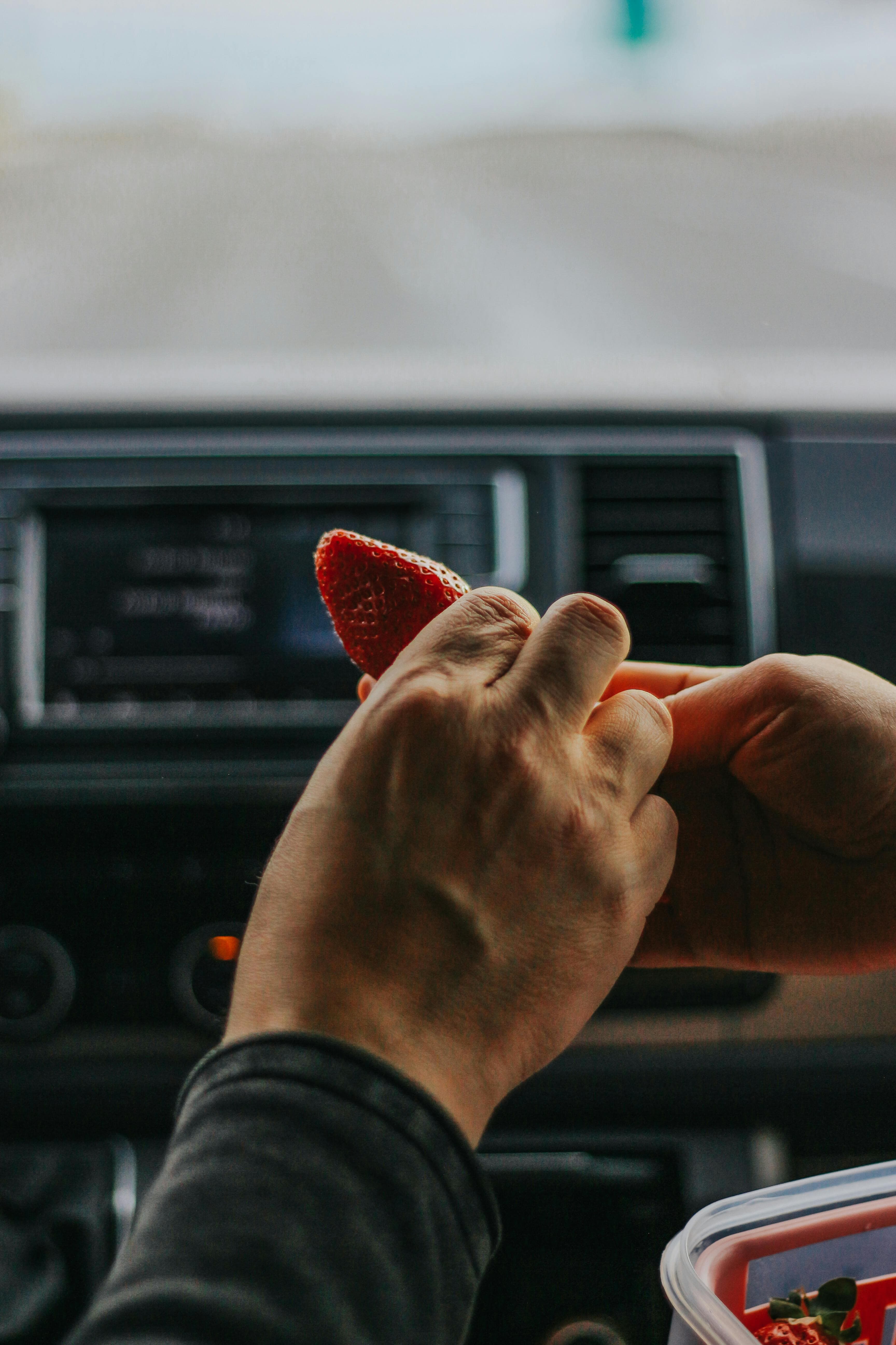 2025 추석 긴 연휴 귀성길 필수 꿀팁8