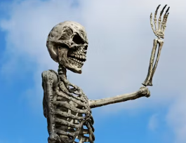 골다공증에 좋은 음식 영양제 식단