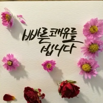 쾌유를 바라는 글귀 이미지 다운로드_10