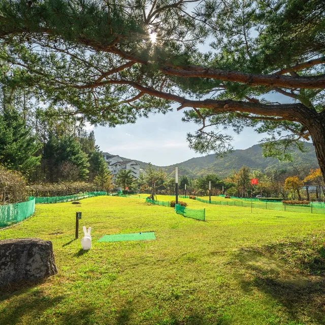 속초시 금호설악리조트 파크골프장 소개