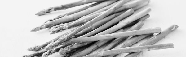 아스파라거스 재배방법, 아스파라거스 키우기 (모종, 종근, 씨앗, 식물)