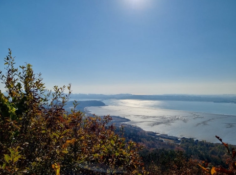 인천/명품/단풍/명소