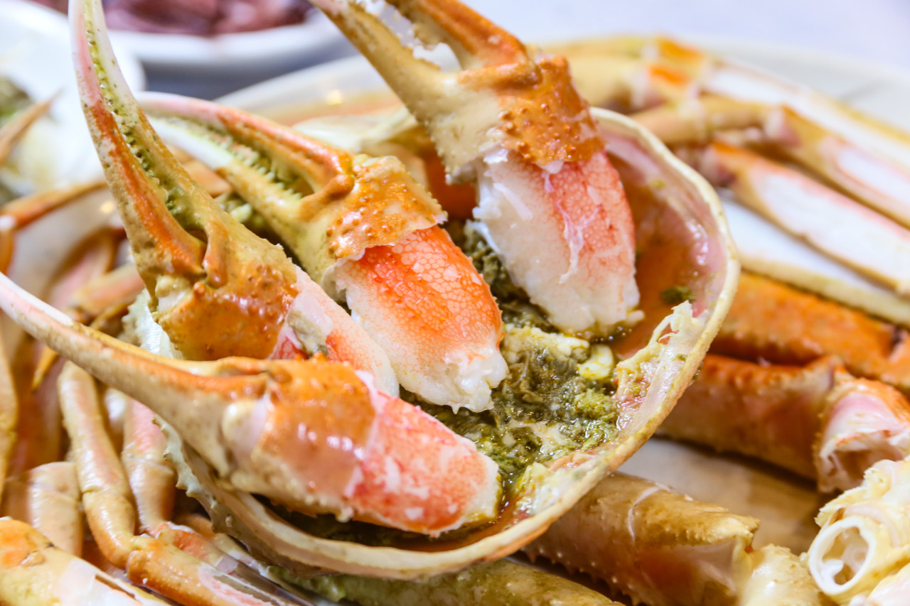 울진 후포항 맛집