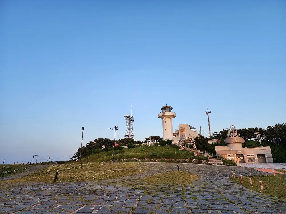 울산에서의 주말 농장 체험, 신선한 농산물 즐기기