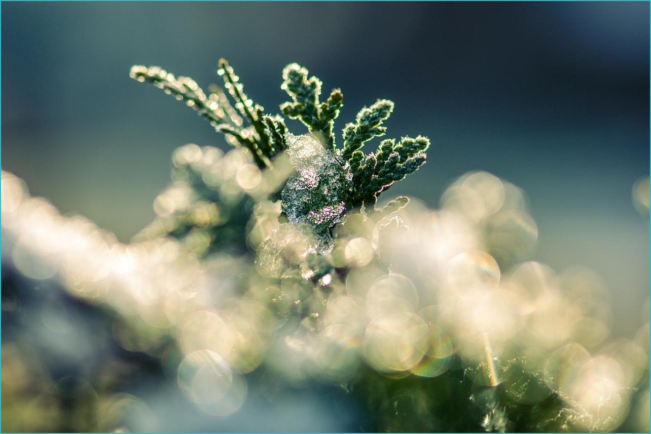 국세 환급금 찾기