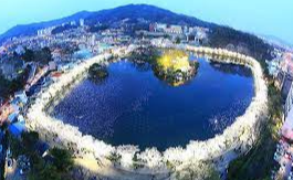 경상북도 연화지 벚꽃 벚꽃 명소 베스트 5 벚꽃시기 만개시기 드라이브 코스