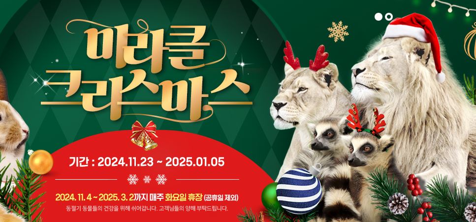 네이처파크 미라클 크리스마스 기본정보, 장소, 요금, 주차장, 이벤트