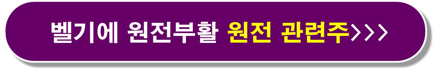 벨기에 원전 관련주