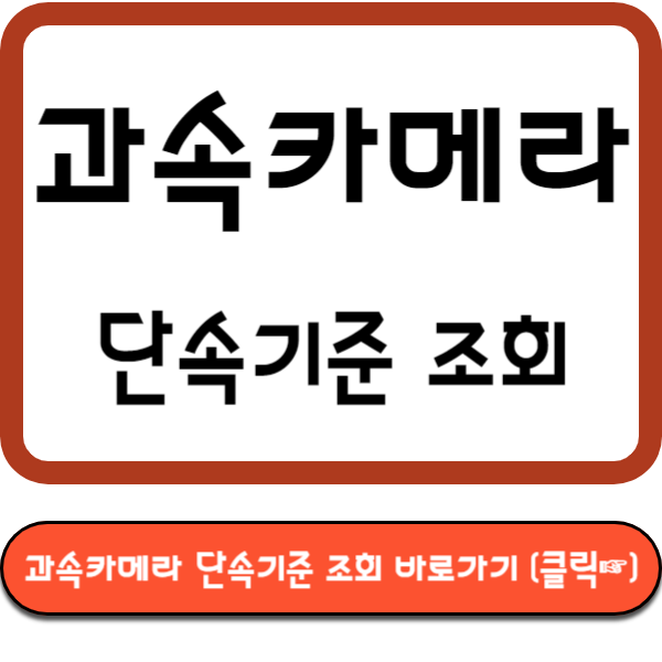 과속카메라 단속기준 조회 바로가기