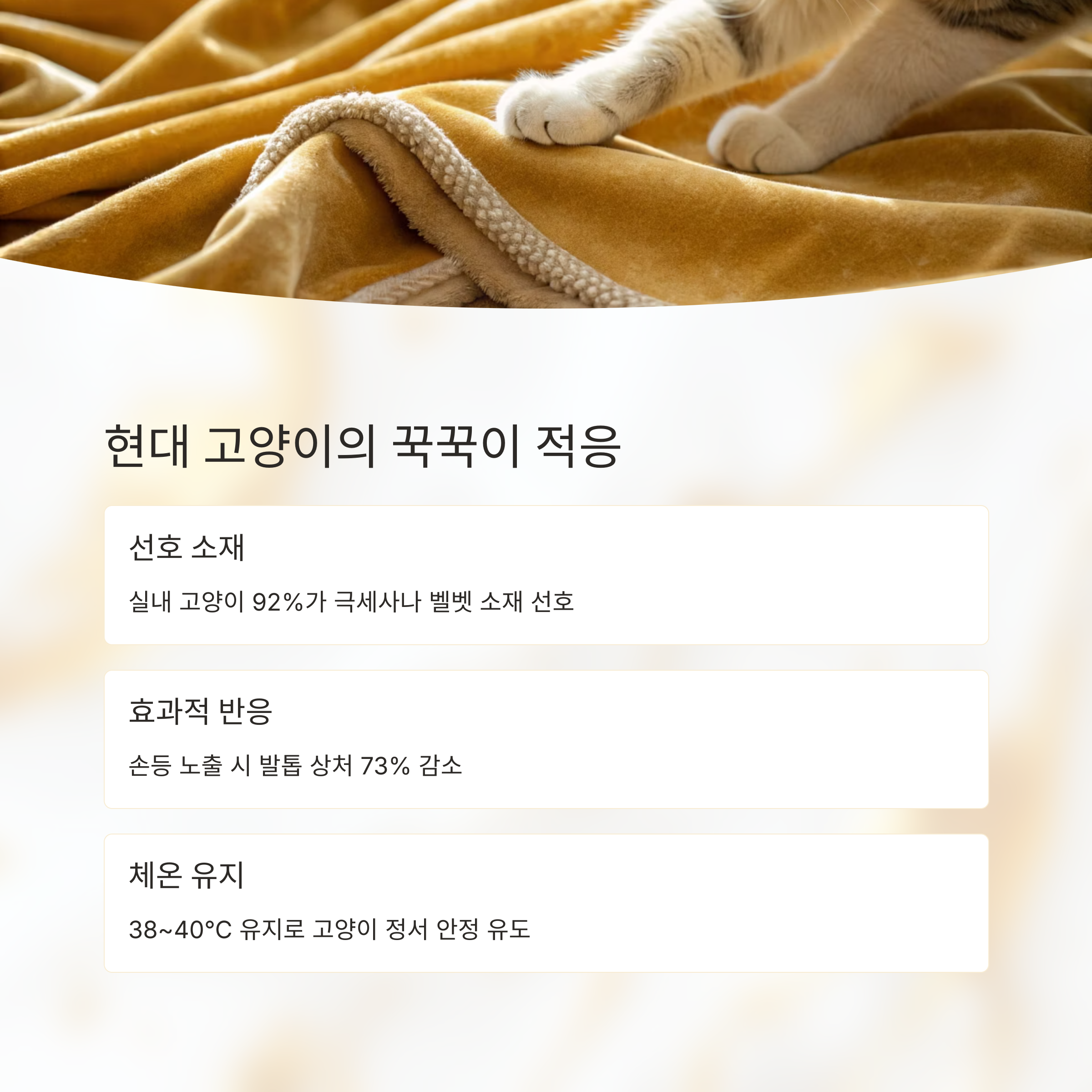 현대 고양이의 꾹꾹이 적응