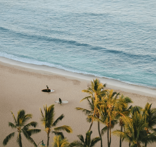 하와이 자유여행: 항공부터 렌터카까지&amp;#44; 모든 것 총정리!